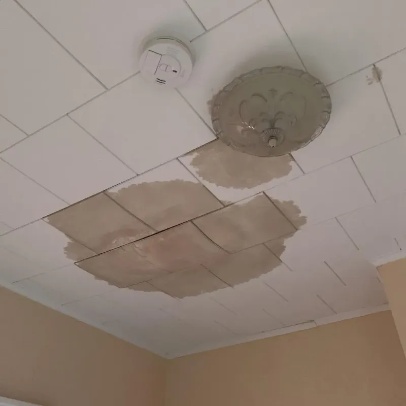 Ceiling Water Damage Repair in Coffey County, KS