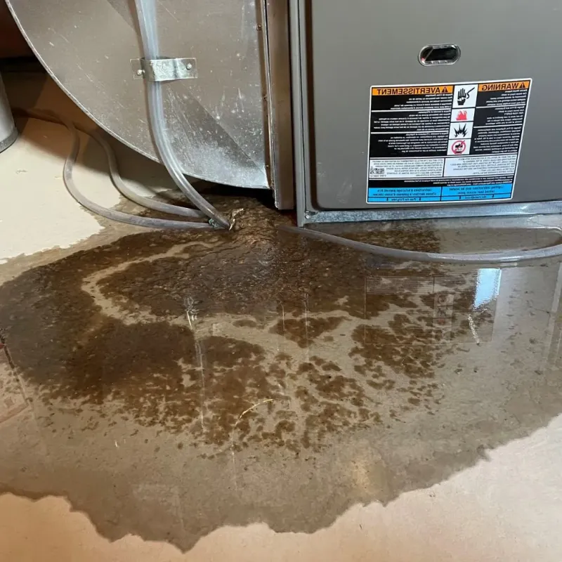 Pipe Burst and Leak Restoration in Coffey County, KS