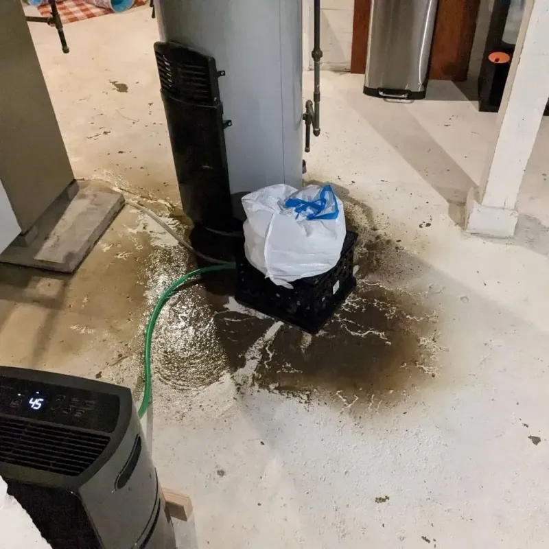 Sewage Backup Cleanup Service in Coffey County, KS
